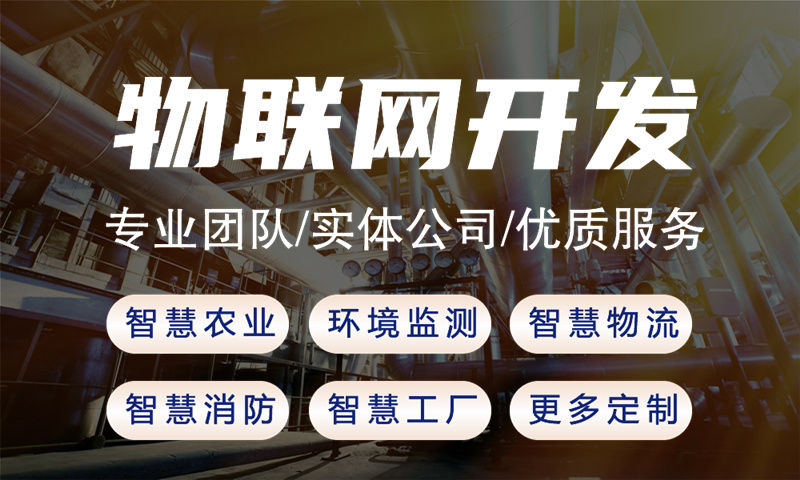 上海物联网单片机开发公司怎么选择?