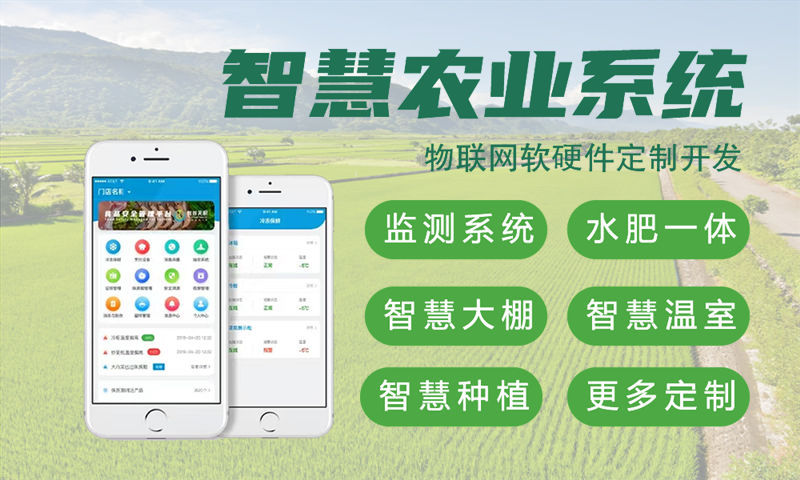 单片机软件开发公司怎么选