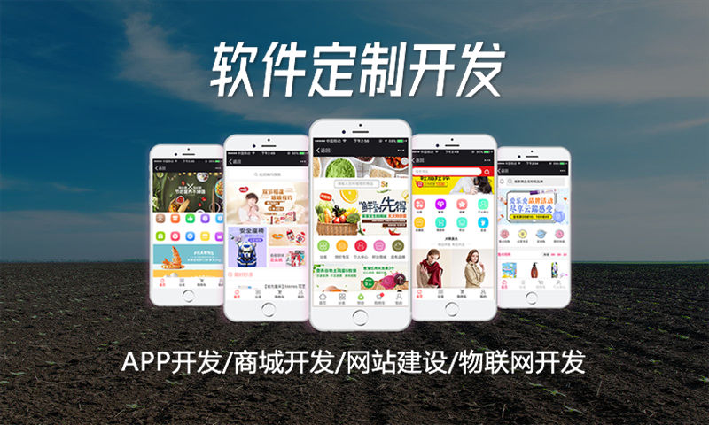 大理全民分销软件开发公司 | 直销软件开发专家