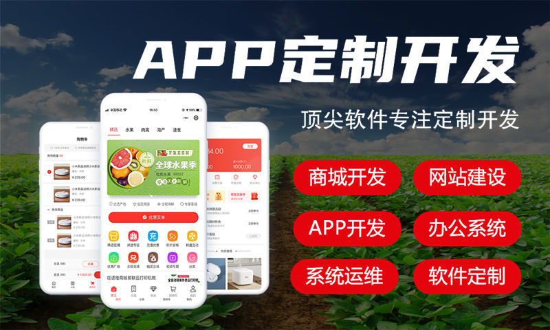如何利用架构师IT人力建设高效团队应对金融系统挑战