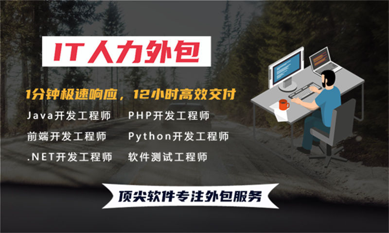 .NET程序员IT人力外包服务如何破解企业技术用工困局——软件人才驻场开发实战经验分享